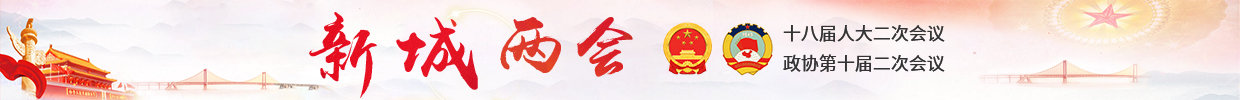 新城两会