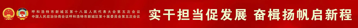 2026年新城两会