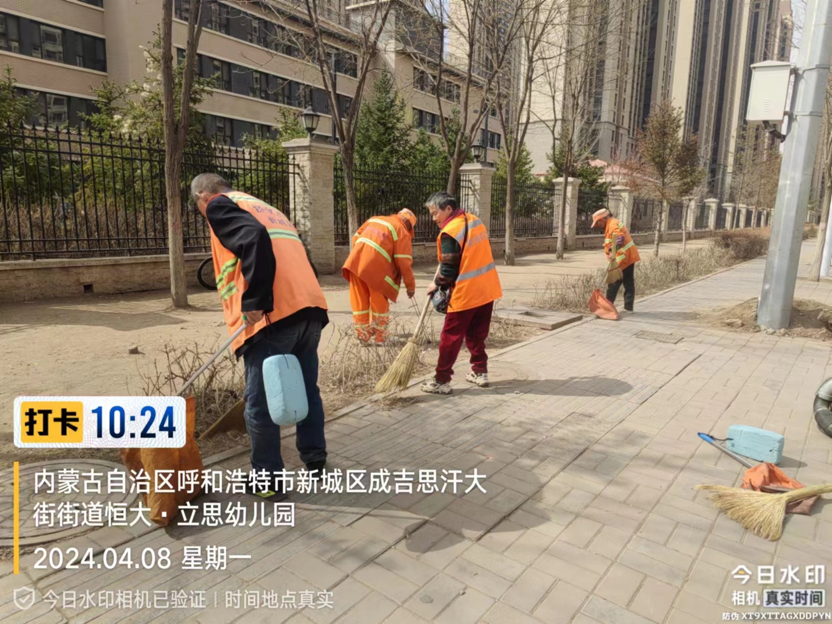 (动态108)清理整治绿化带 守护道路风景线5.jpg