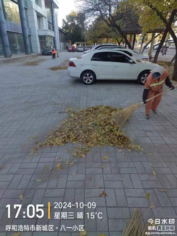 (动态175)秋意渐浓落叶黄 环卫工人清扫忙10.jpg