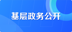 基层政务公开