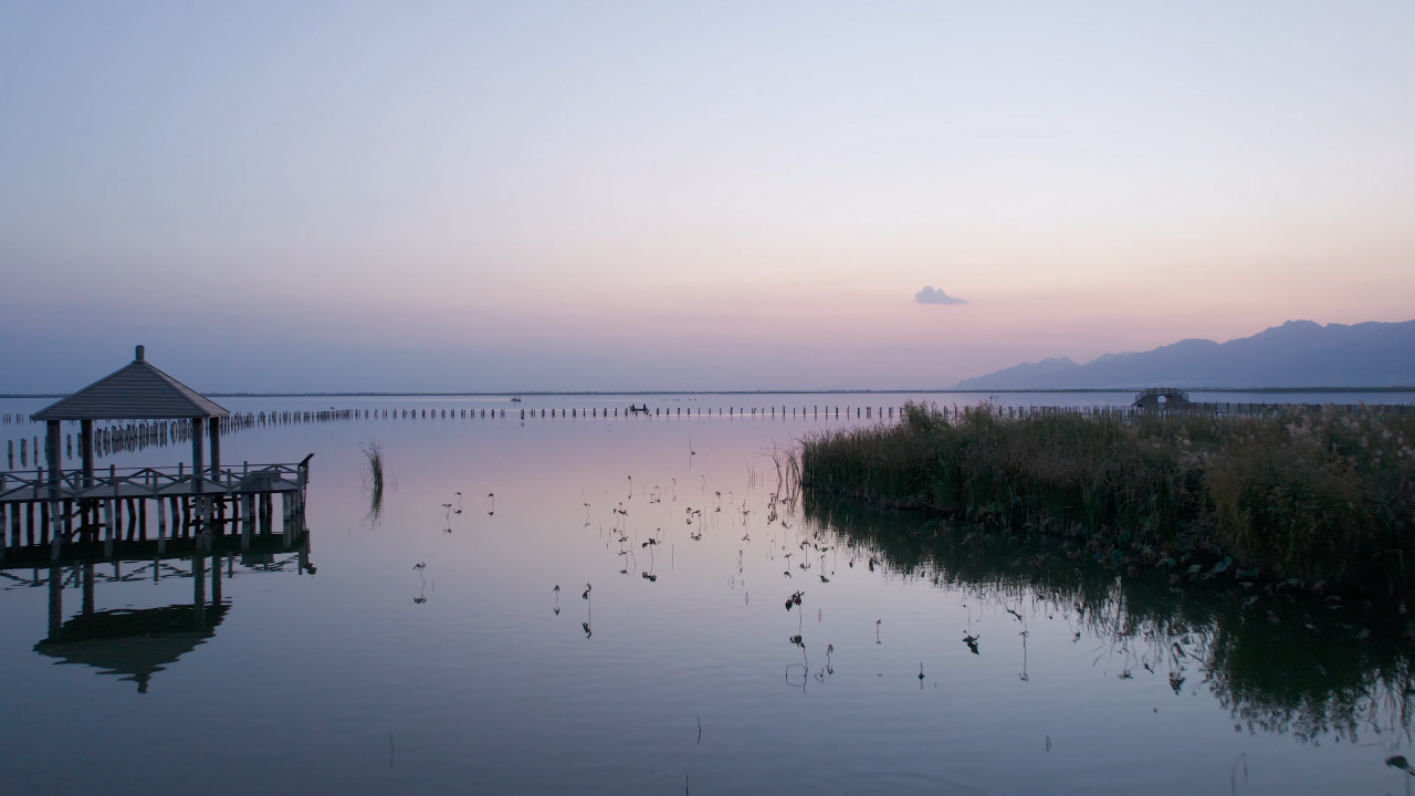 微信图片_2026-05-26_104029_017.png