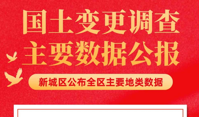 图解《新城区人民政府关于新城区2022年度国土变更调查主要数据的公报》