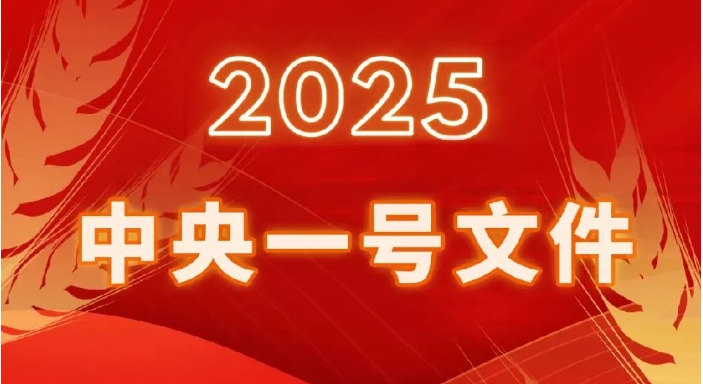 一图读懂2025年中央一号文件《中共中央 国务院关于进一步深化农村改革扎实推进乡村全面振兴的意见》