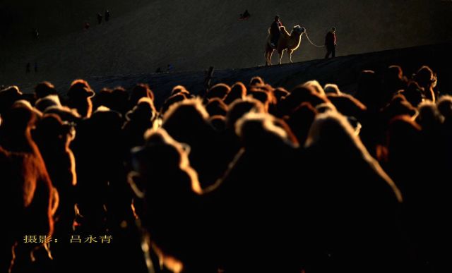 7ba488bce84ba0f07df3e0f564f44ef