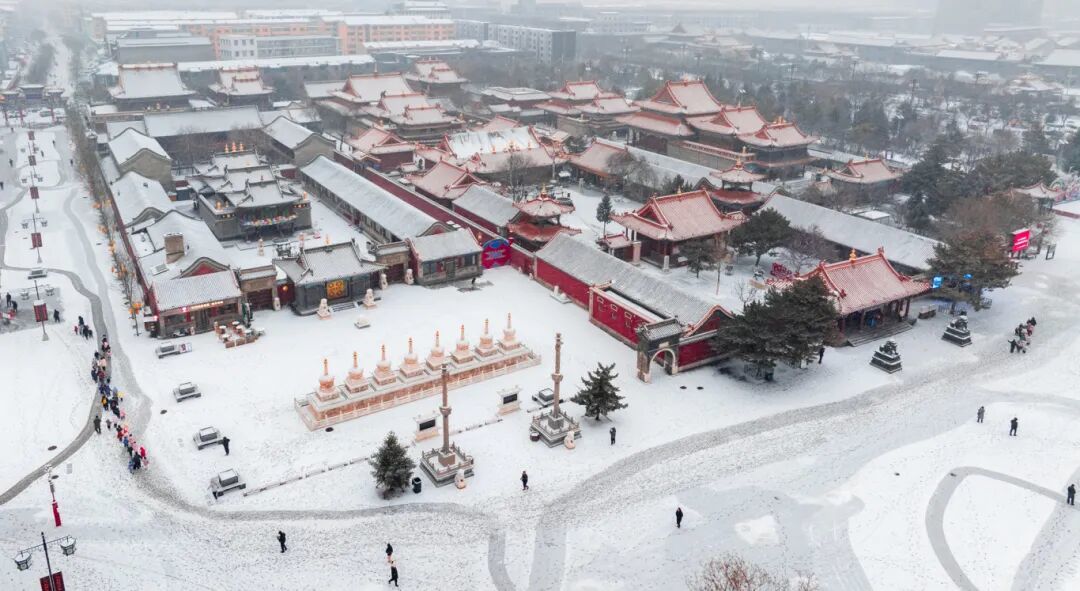 雪雪雪！呼和浩特最新雪景照来了