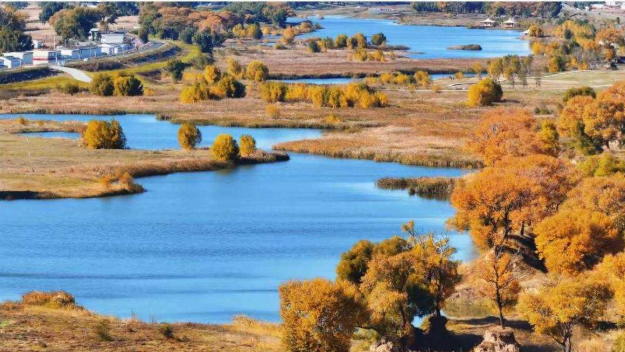 决定了！国庆出发呼和浩特｜一脚油门闯入金秋敕勒川，草原、音乐与盛会正等你