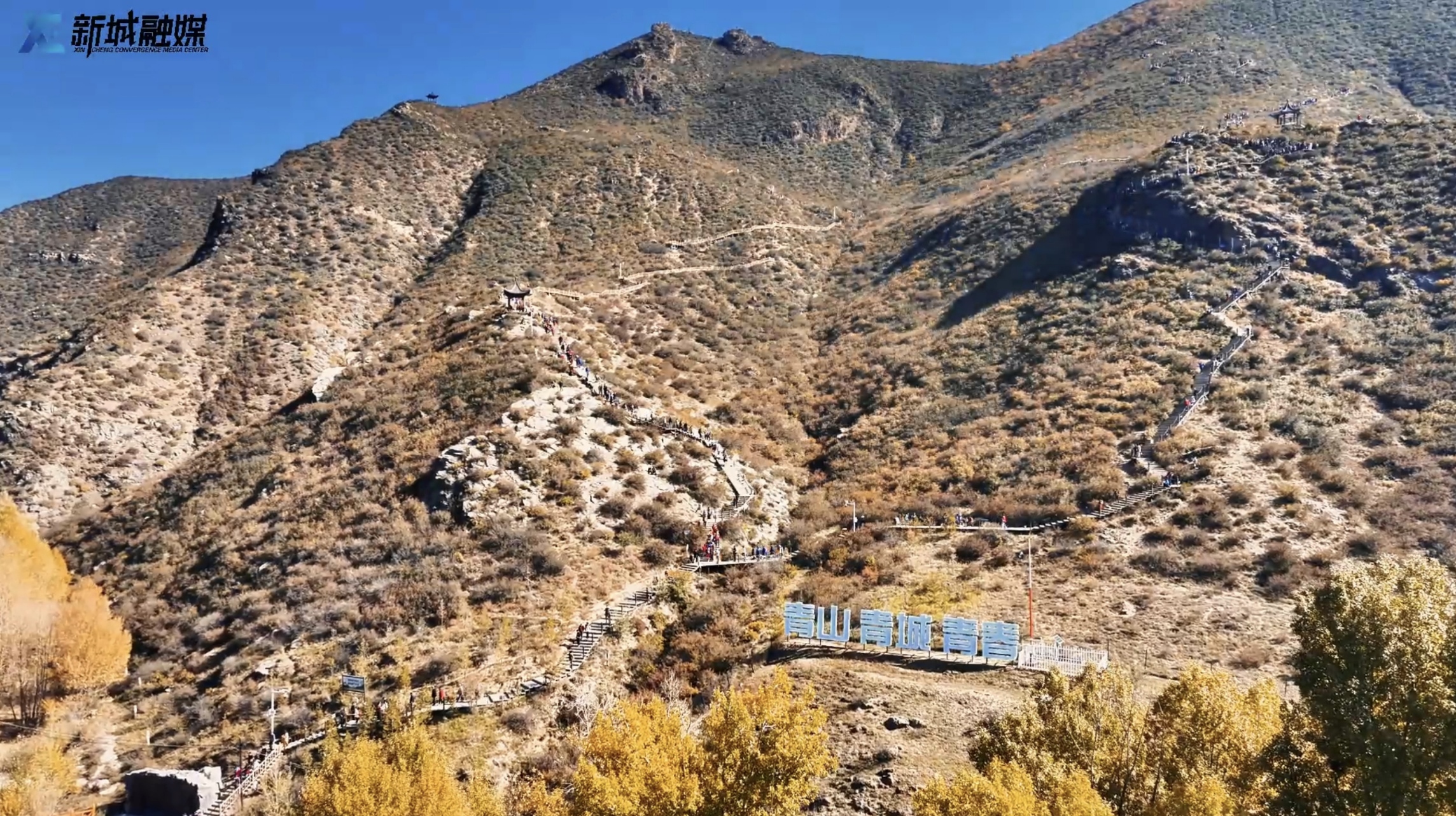 重阳至 登高山 赏秋华