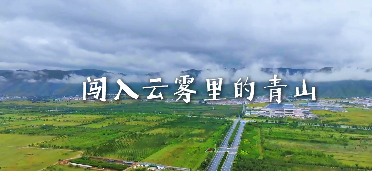 闯入云雾里的青山