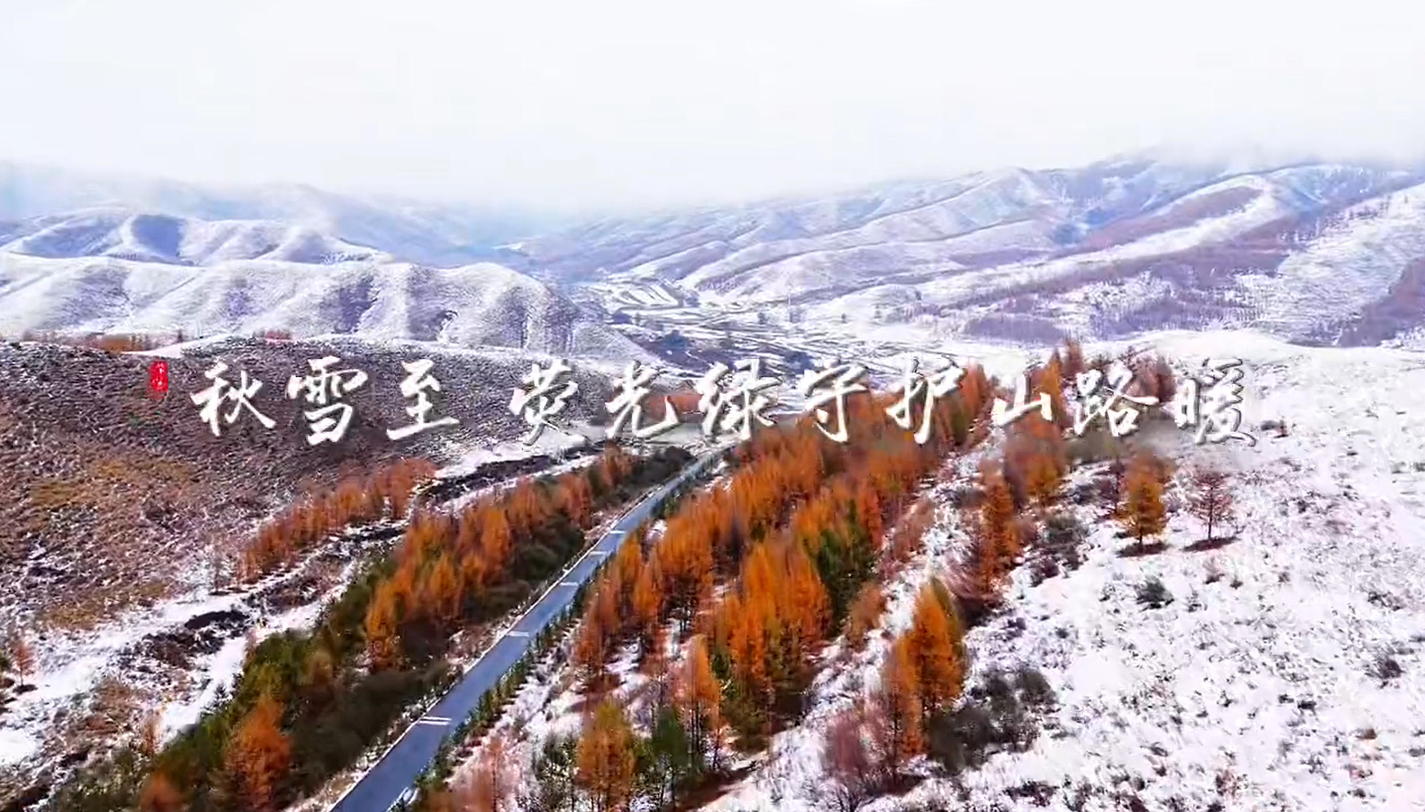 秋雪至 荧光绿守护山路暖