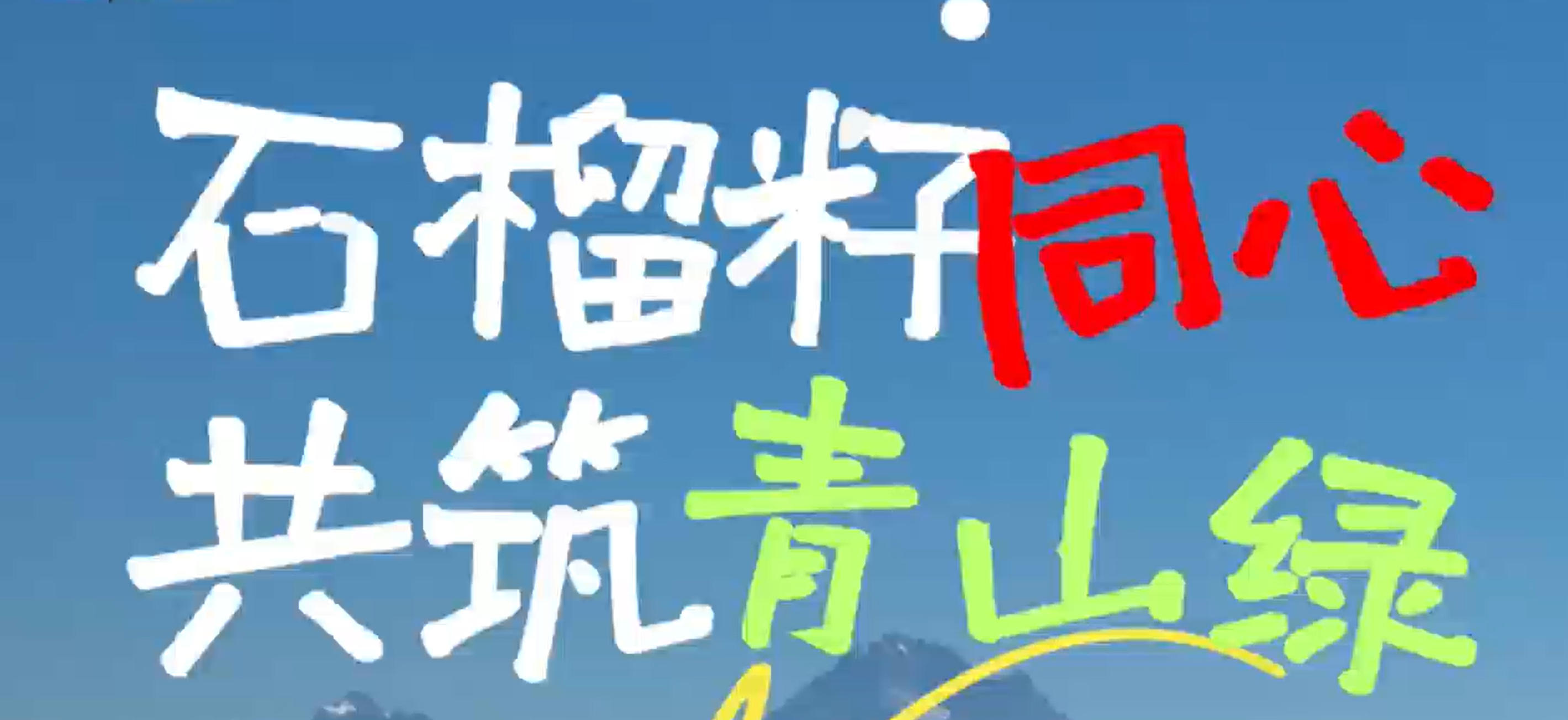 石榴籽同心共筑青山绿
