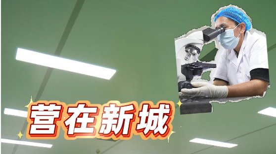 营在新城