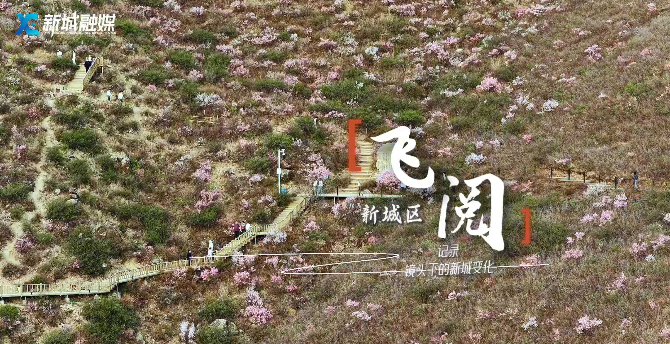 记录镜头下的新城变化