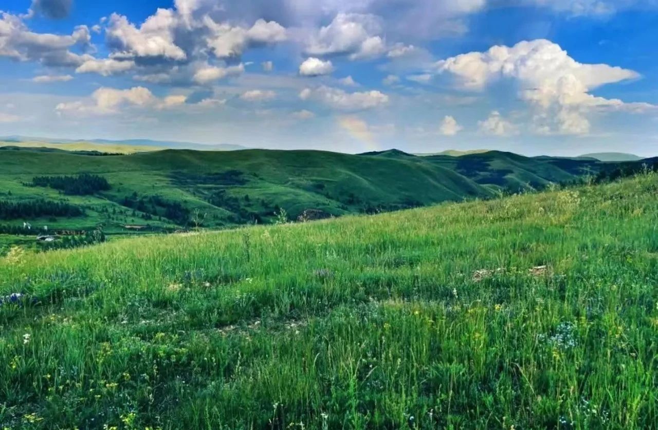 呼和浩特大有可玩！大青山“限定”款，周末必冲！