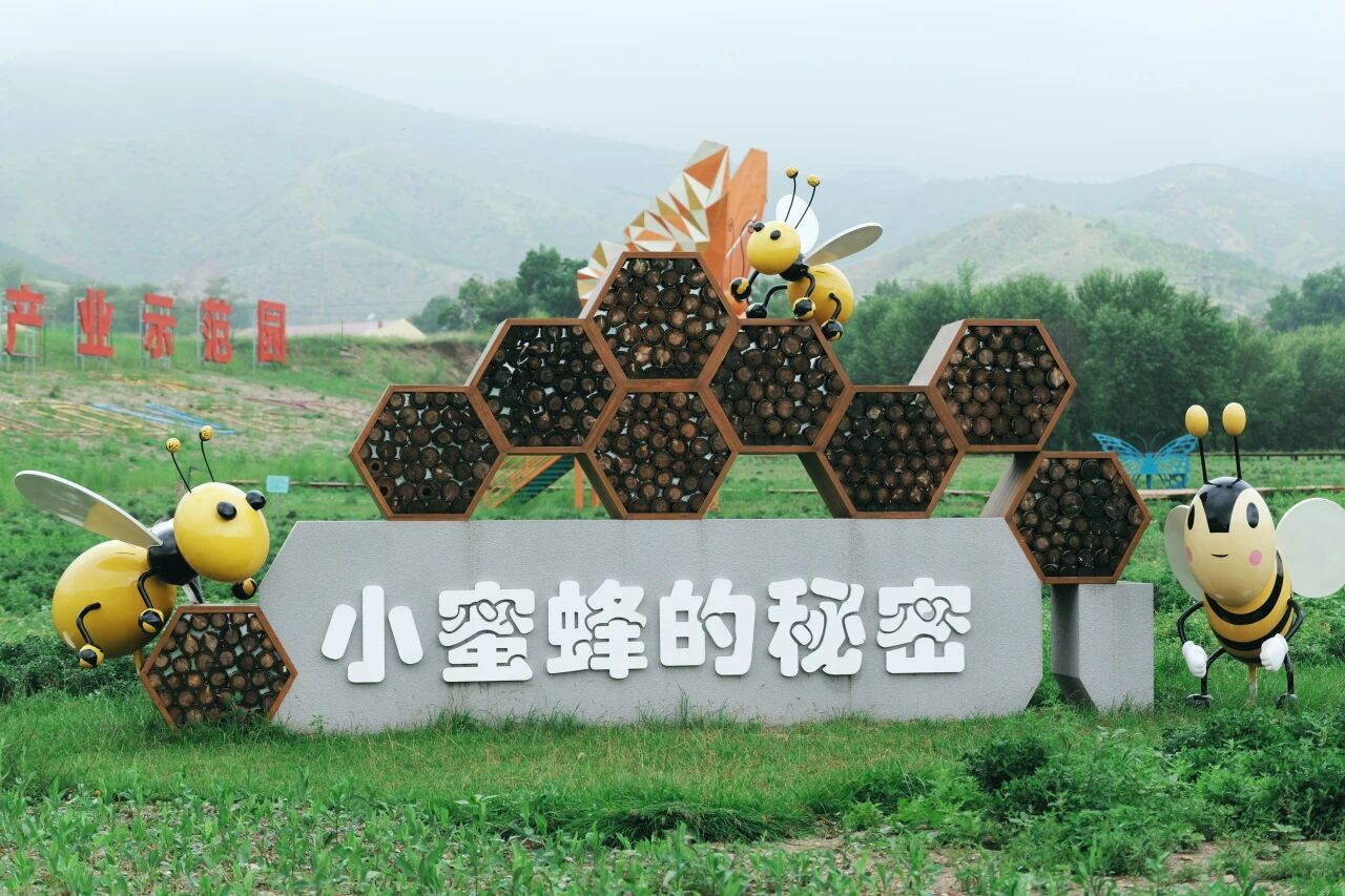 微信图片_2026-07-21_100038_978.jpg