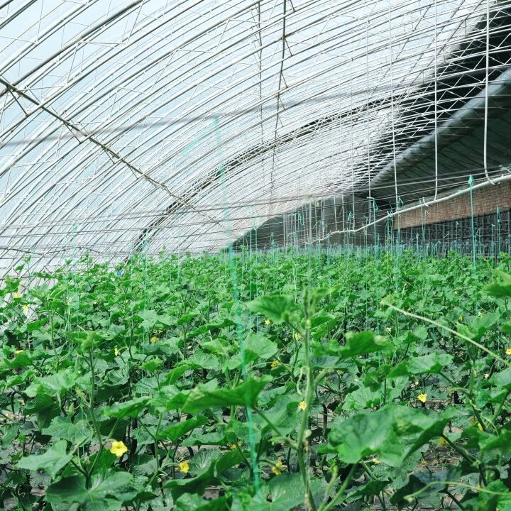 微信图片_2026-07-21_100053_450.jpg