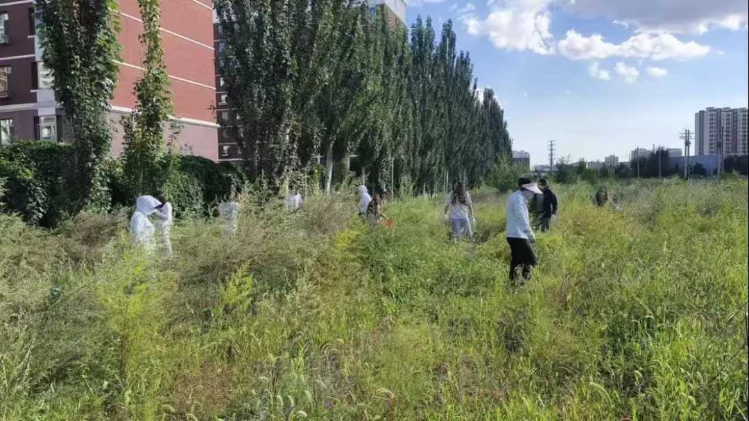 微信图片_2026-09-04_103714_942.png