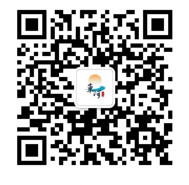 东河街道办事处